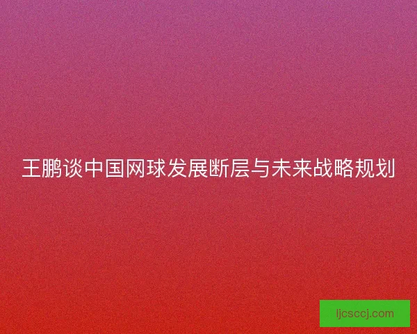 王鹏谈中国网球发展断层与未来战略规划 王鹏谈中国网球发展断层与未来战略规划